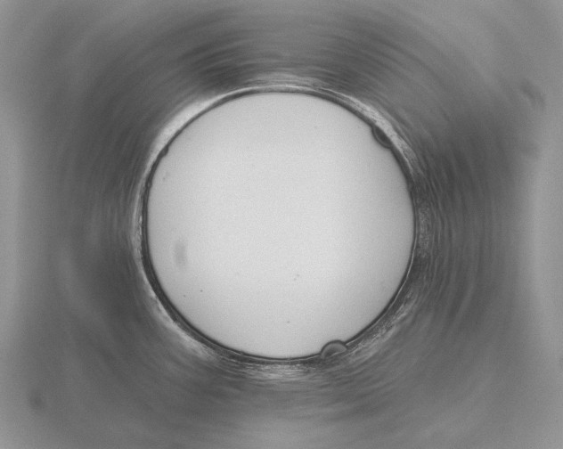 X0000115771387200912111057