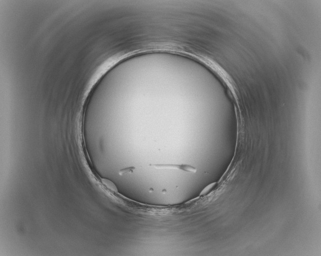 X0000115771389200912111057