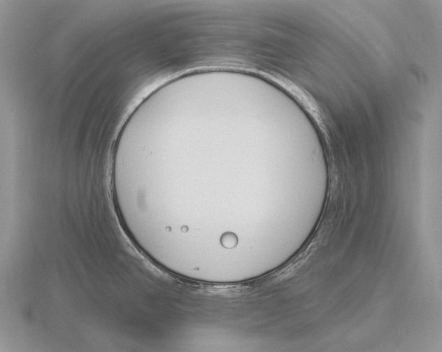 X0000115771390200912111057