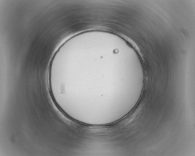 X0000115771391200912111057