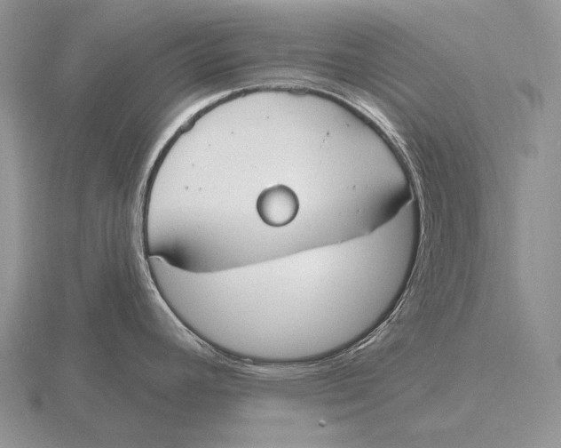 X0000115771392200912111057