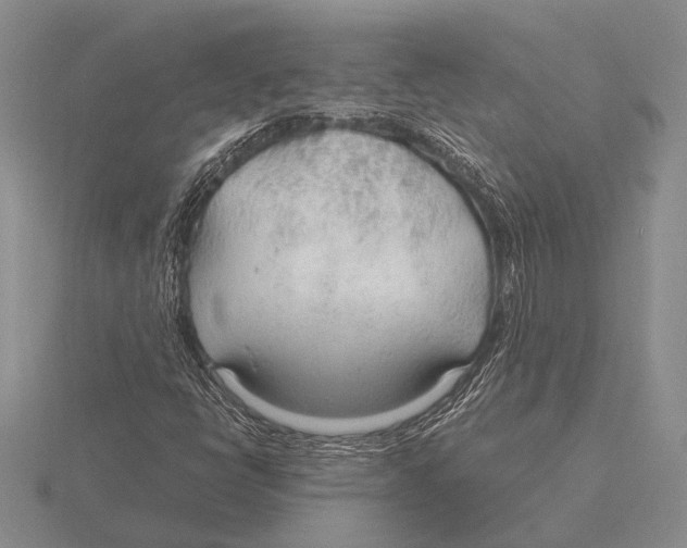 X0000115771398200912111056