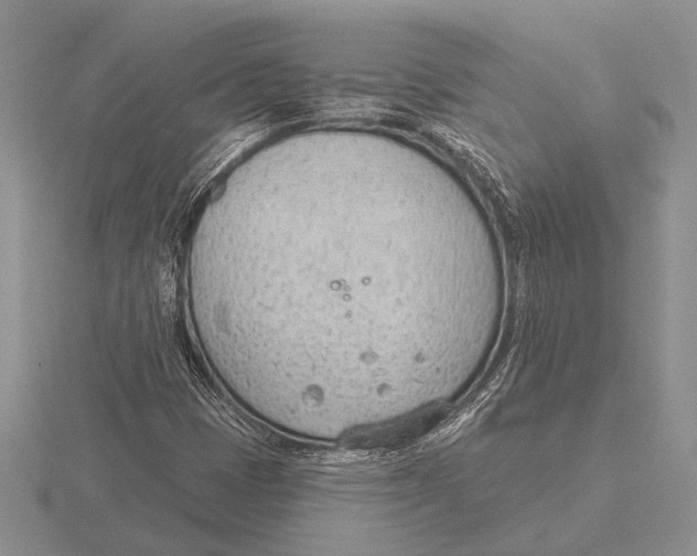 X0000115771401200912111056