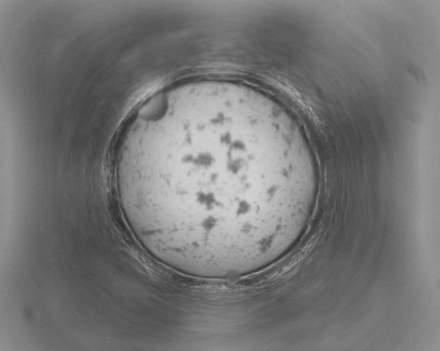 X0000115771405200912111056