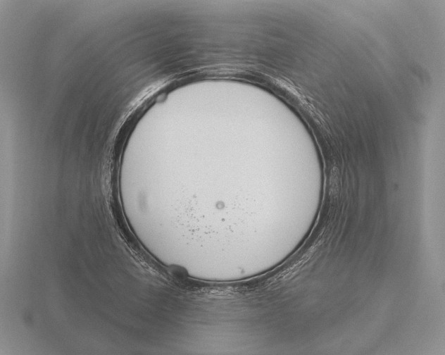 X0000115771410200912111056