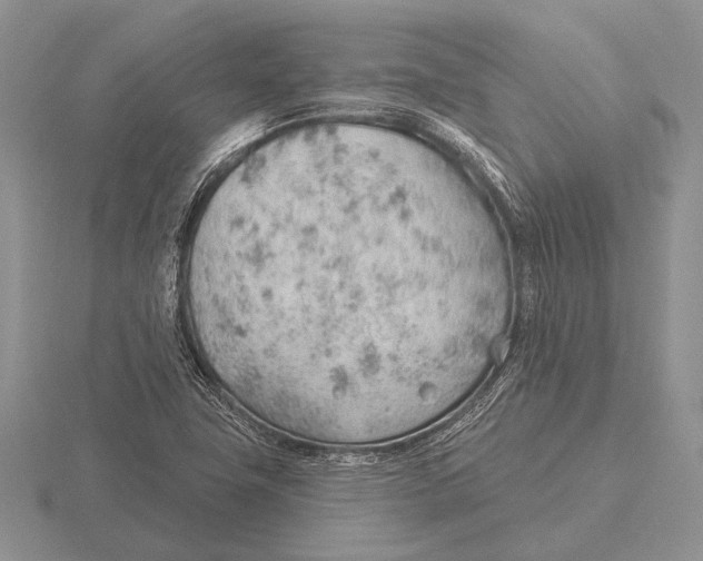 X0000115771411200912111057