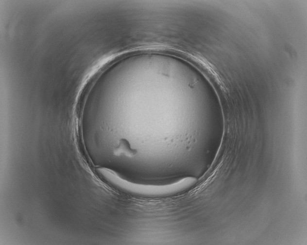 X0000115771414200912111057