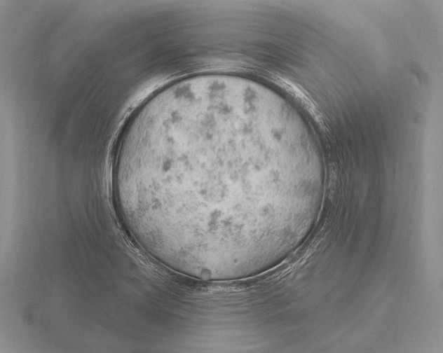 X0000115771419200912111057