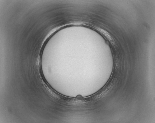 X0000115771420200912111057