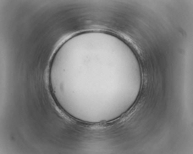 X0000115771421200912111057