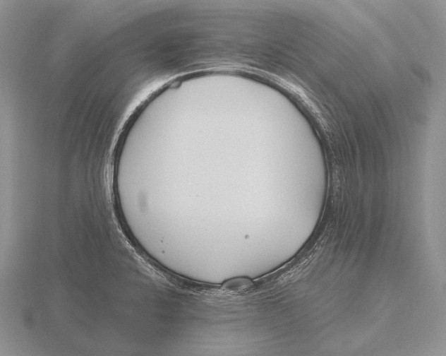 X0000115771424200912111057