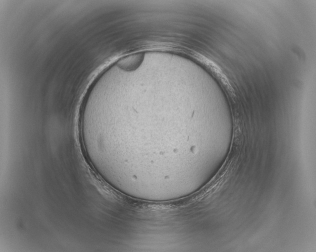 X0000115771427200912111057