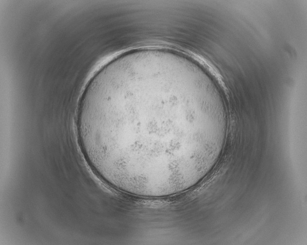 X0000115771429200912111057