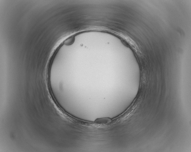 X0000115771430200912111057