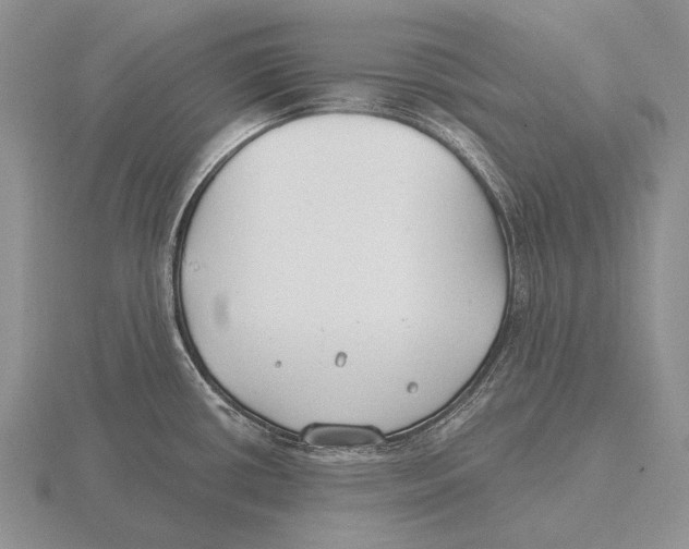 X0000115771434200912111057