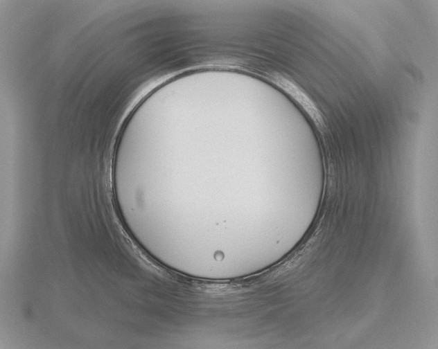 X0000115771436200912111057