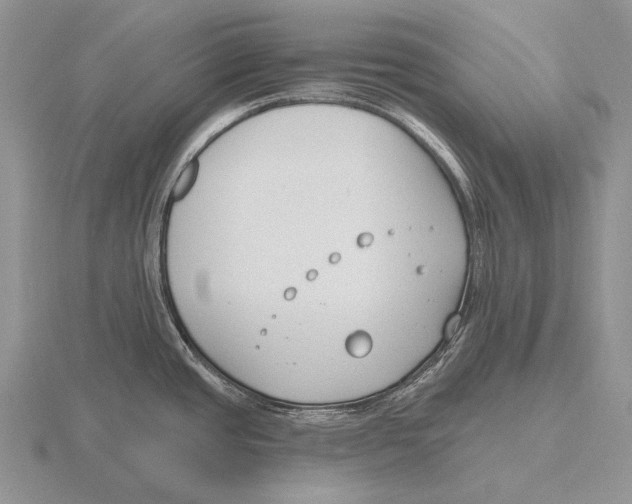 X0000115771437200912111057