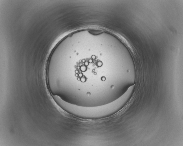 X0000115771438200912111057