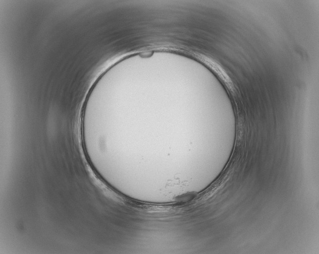 X0000115771439200912111057