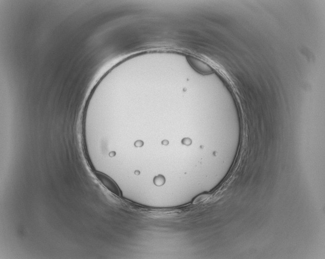 X0000115771440200912111057