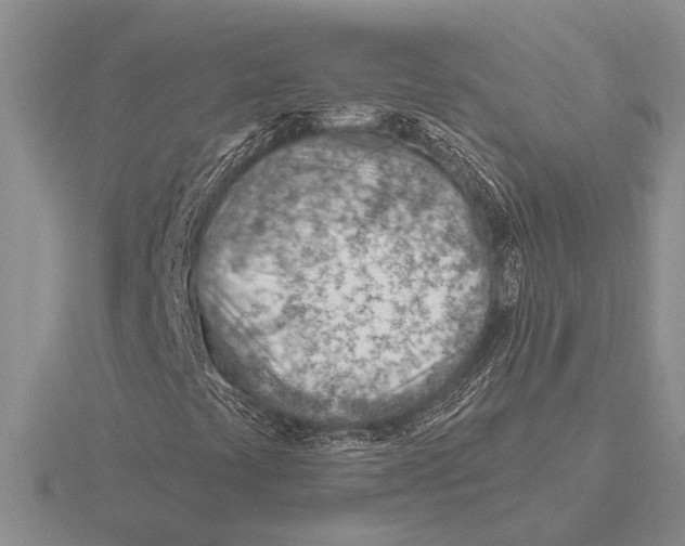 X0000115771441200912111056