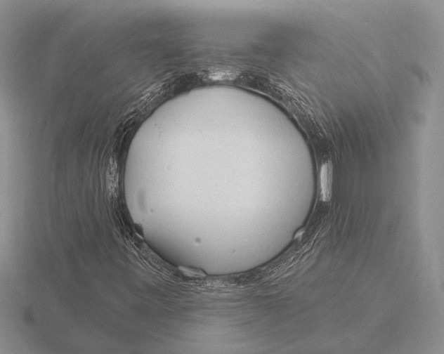 X0000115771443200912111056