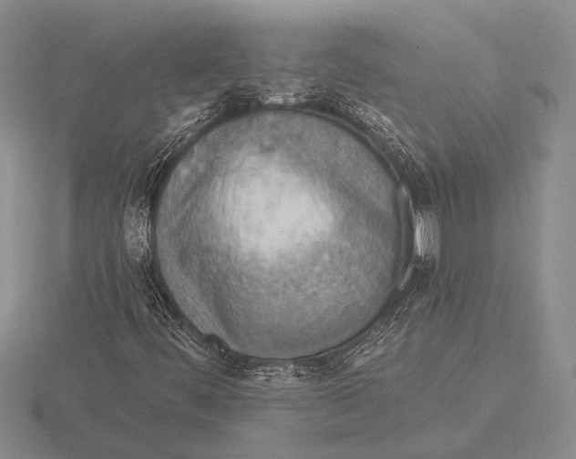 X0000115771444200912111056