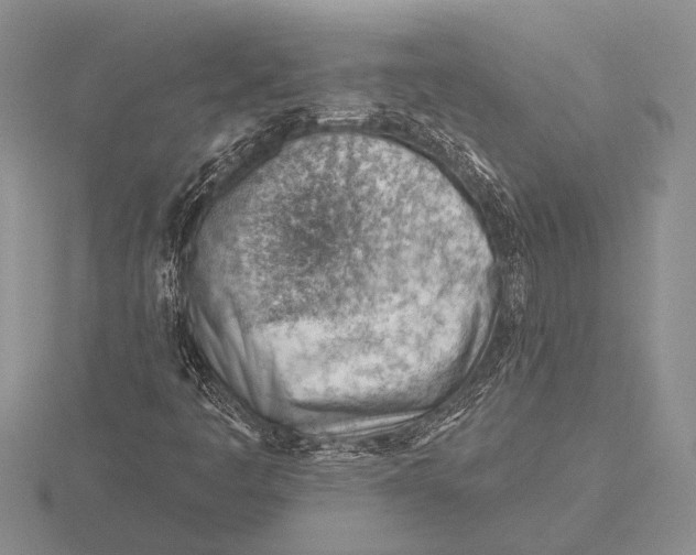 X0000115771445200912111056