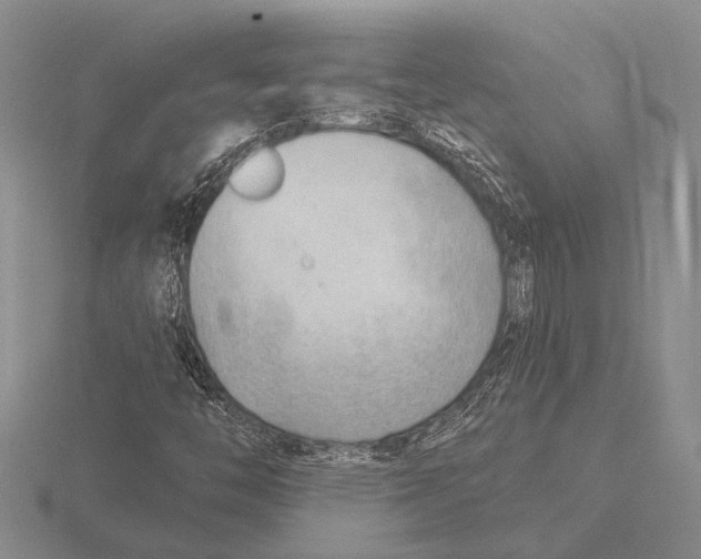 X0000115771446200912111056