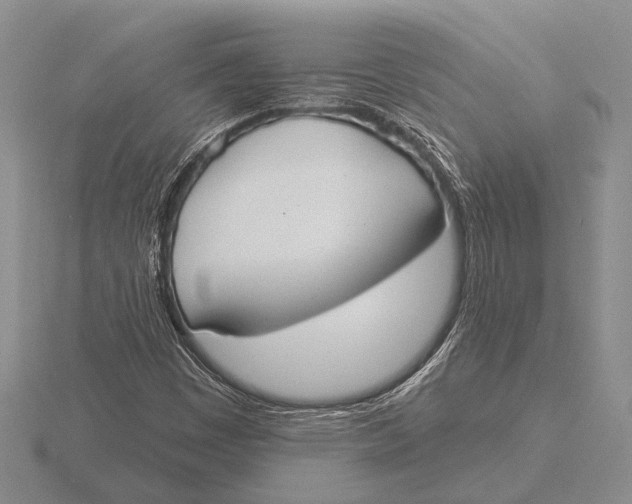 X0000115771449200912111056