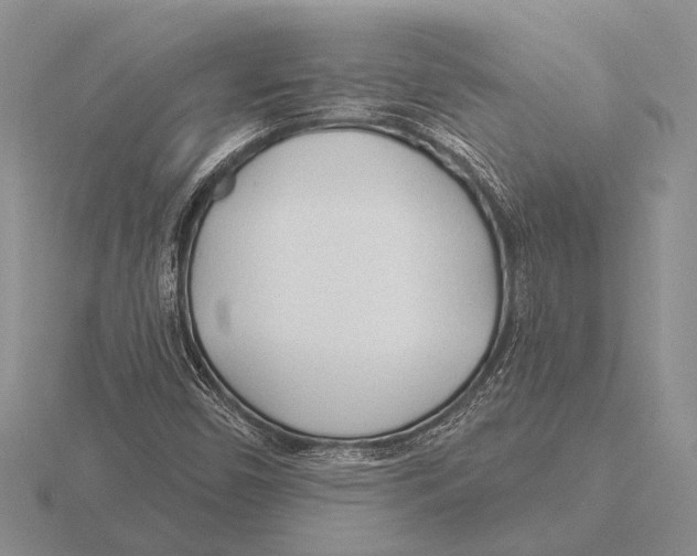 X0000115771450200912111056