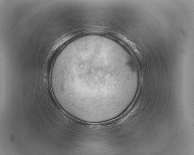 X0000115771453200912111056