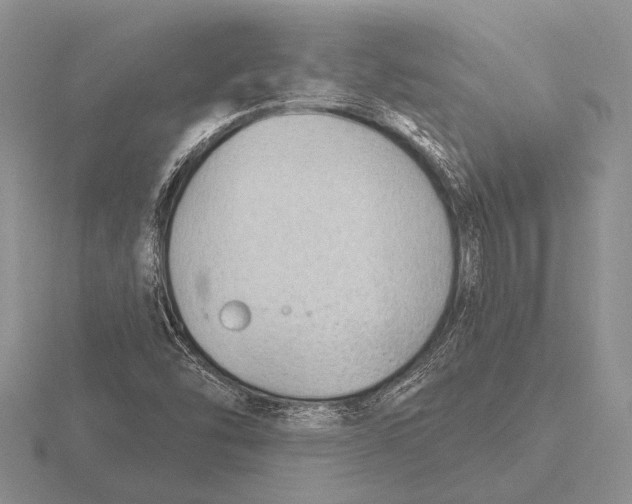 X0000115771454200912111056