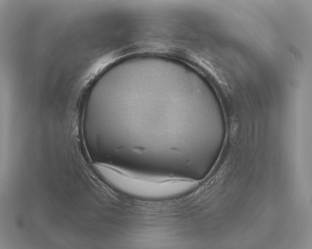 X0000115771455200912111056