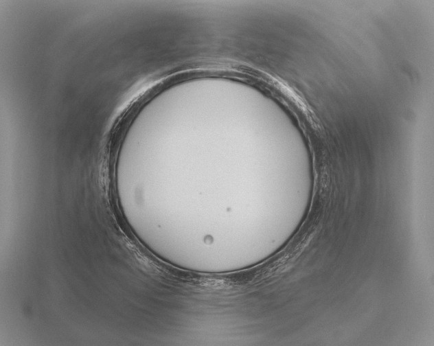 X0000115771456200912111056