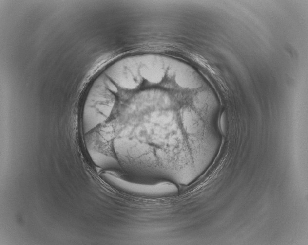 X0000115771459200912111056