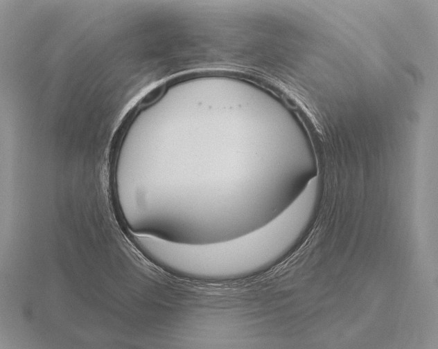 X0000115771460200912111056