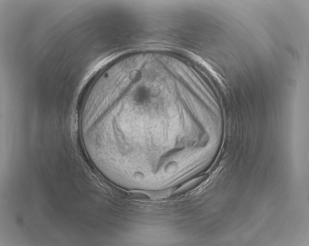 X0000115771461200912111056