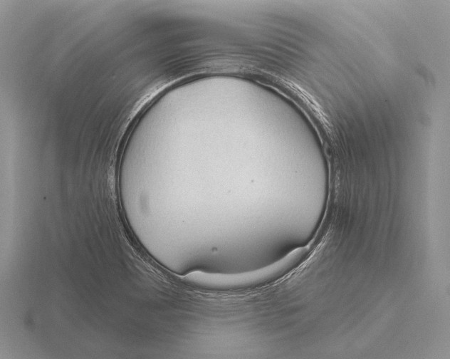 X0000115771465200912111056