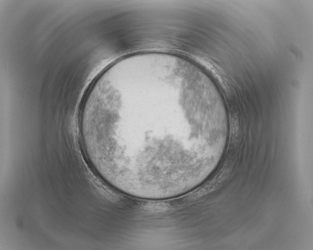 X0000115771466200912111056