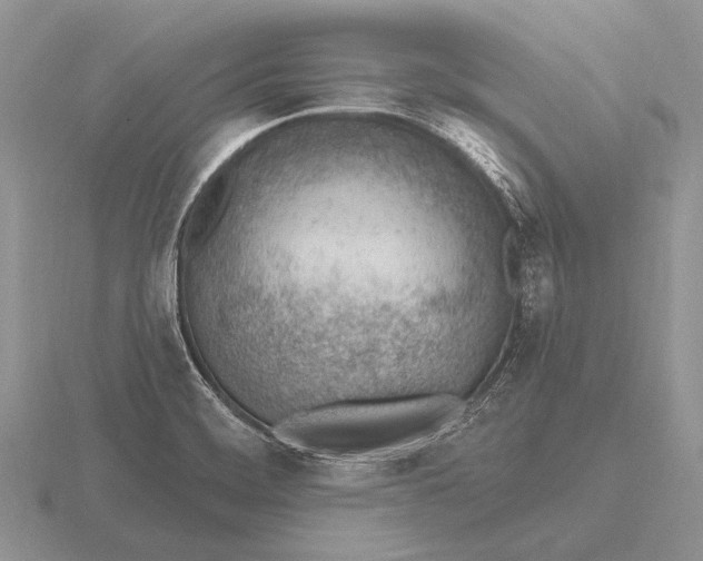 X0000115771468200912111056