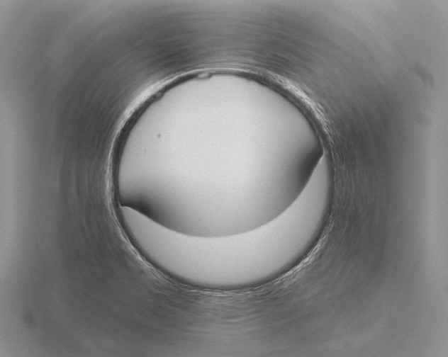 X0000115771469200912111056