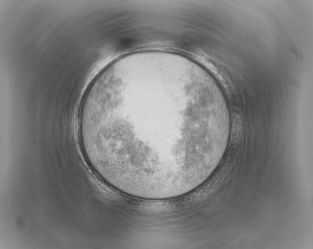 X0000115771474200912111056