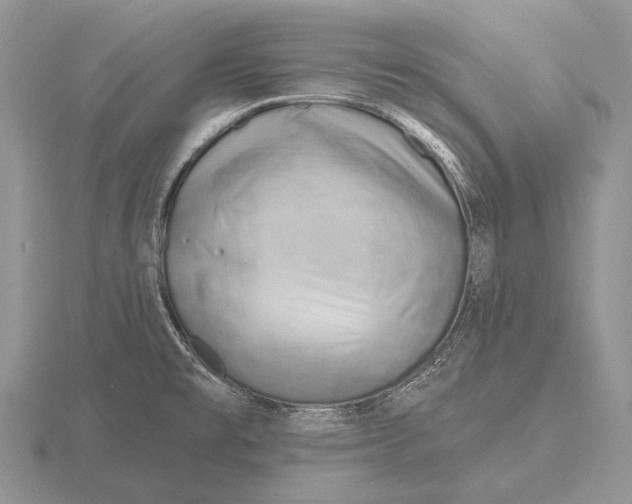 X0000115771477200912111056