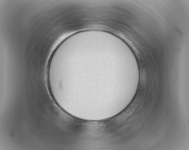 X0000115771478200912111056