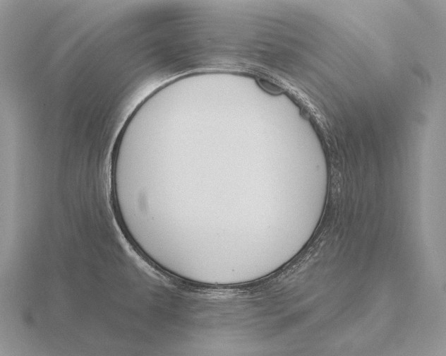 X0000115771479200912111056