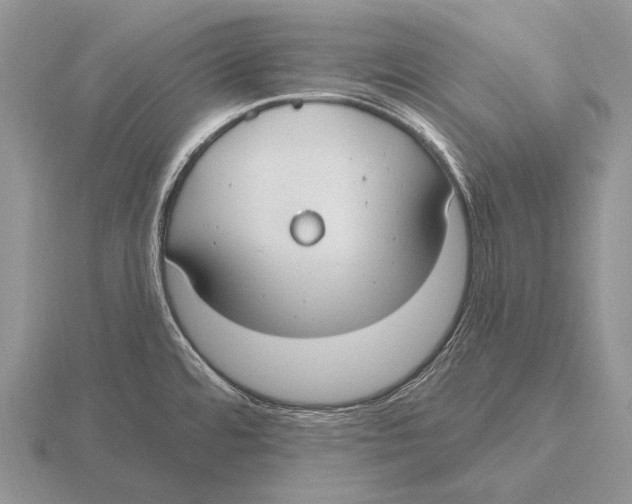 X0000115771480200912111056