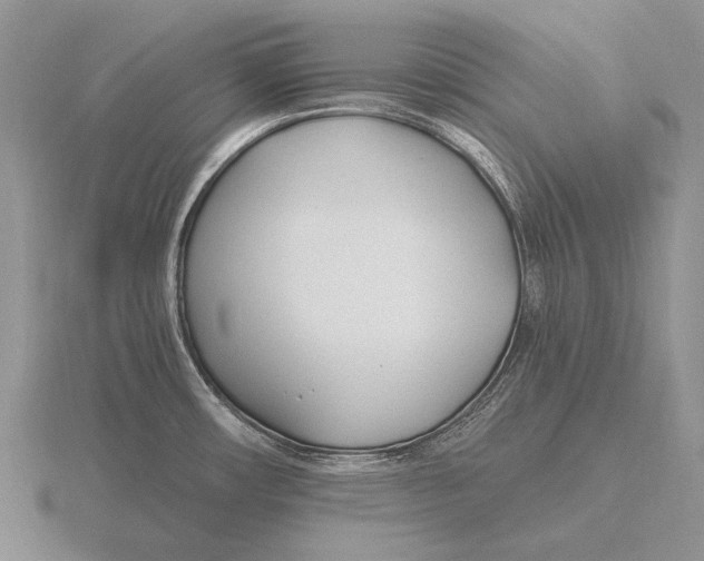 X0000115771482200912111056