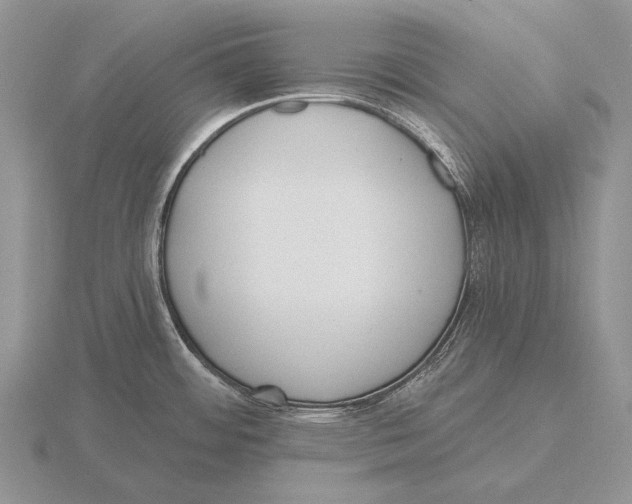 X0000115771484200912111056