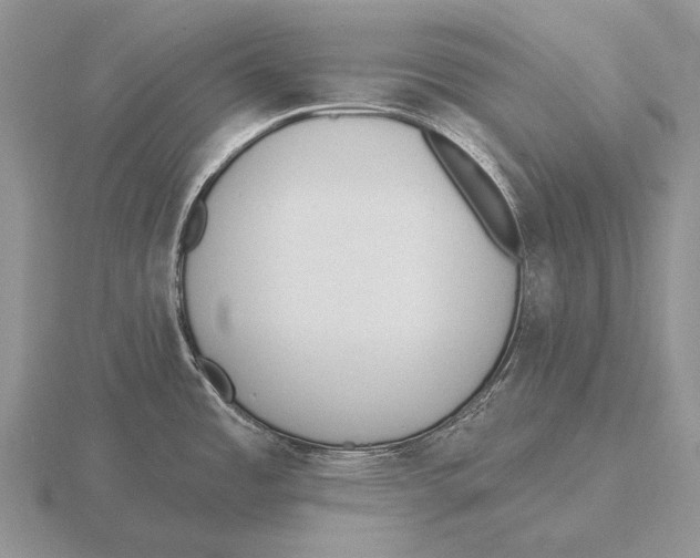 X0000115771485200912111056